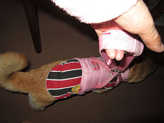 004-60.jpg