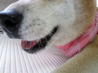 015-50.jpg