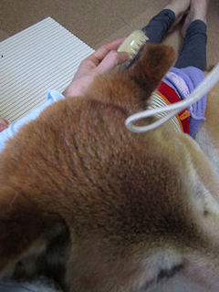 022-50.jpg
