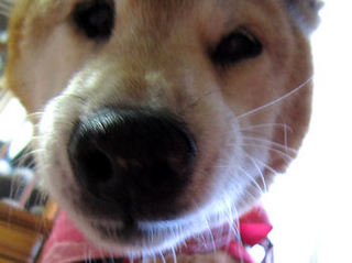024-350.jpg
