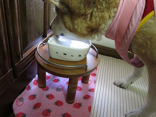 040-50.jpg