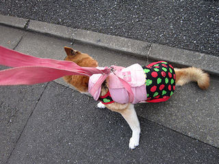 040-60.jpg