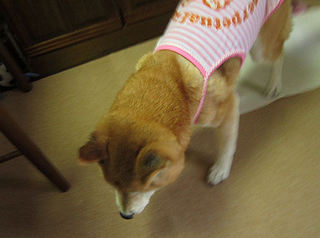 042-70.jpg