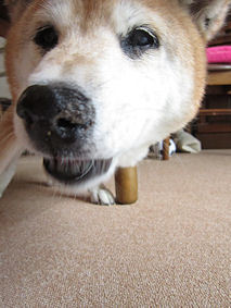 052-40.jpg