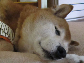 059-70.jpg