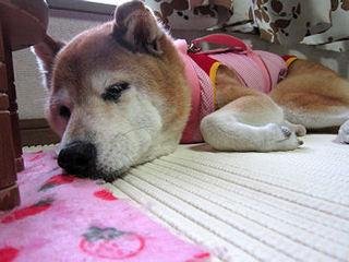 080-50.jpg