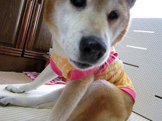 095-400.jpg