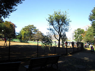 263-70.jpg