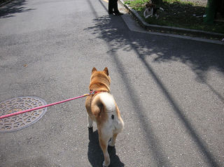 PICT0011-250.jpg